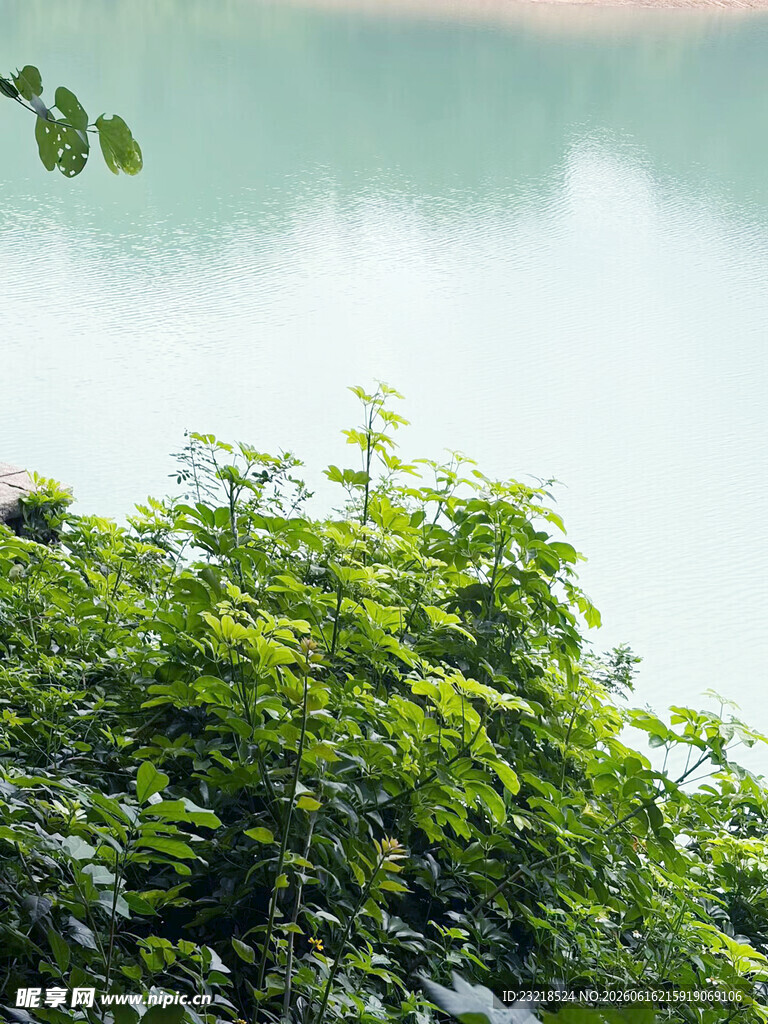 湖畔