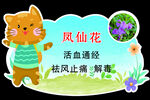 可爱猫咪介绍凤仙花功效