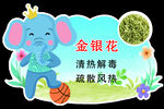 卡通小象金银花宣传图