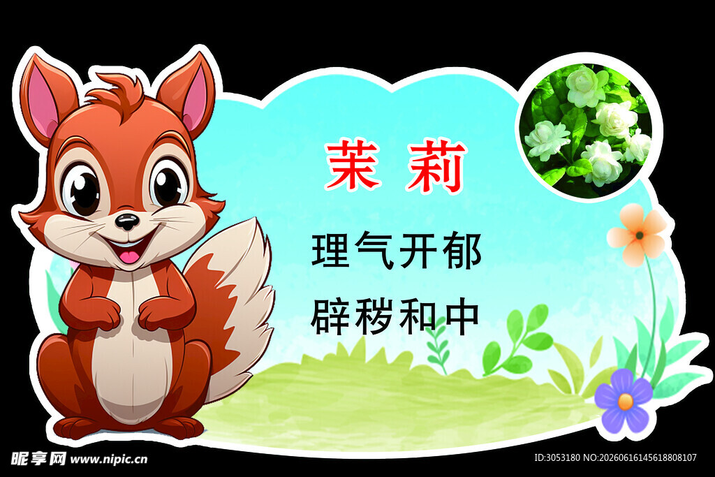 可爱小松鼠与茉莉介绍
