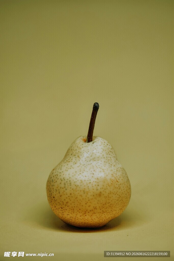 单个黄梨静物特写