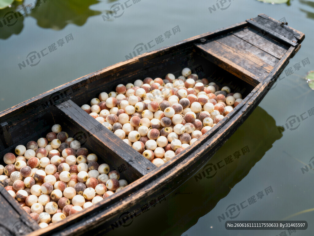 生成一艘没有乌篷的江南小船俯视