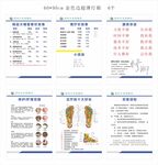 足部反射区按摩图表