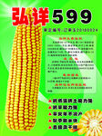 弘单599玉米种子宣传页