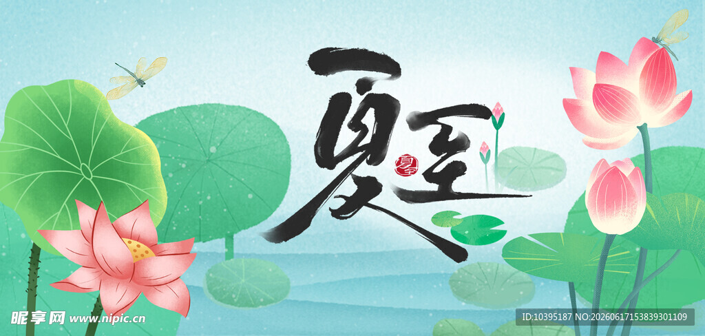 夏至时节荷花绽放