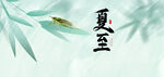 夏至竹叶间的灵动一刻