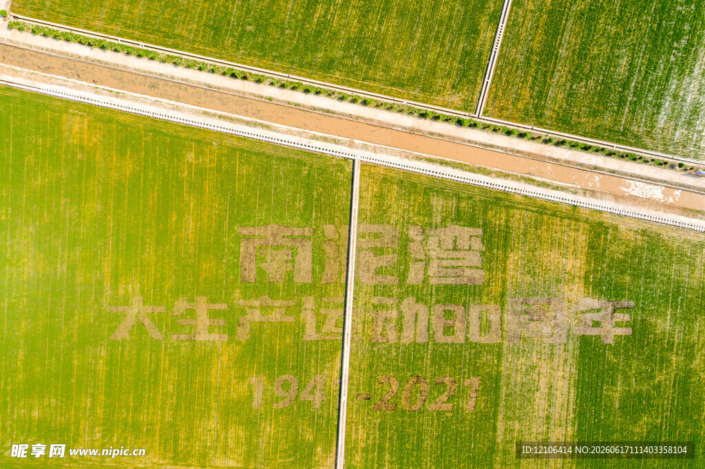 俯瞰绿色田野间的道路