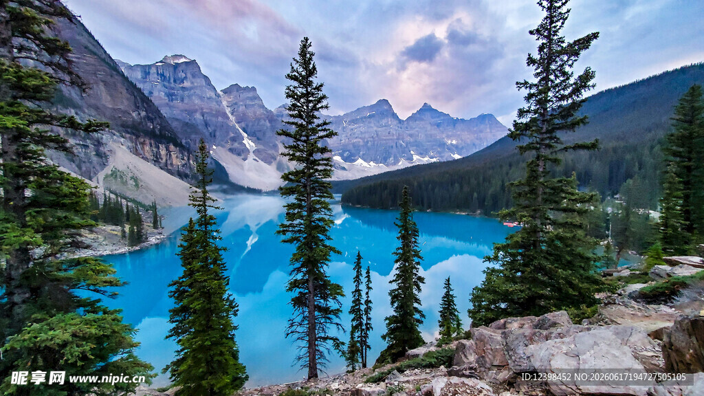 美丽的高山湖泊森林景观