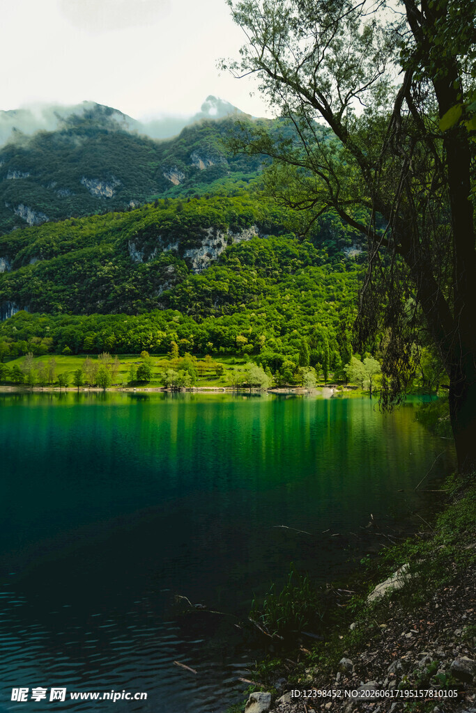 翠绿山林间的静谧湖水