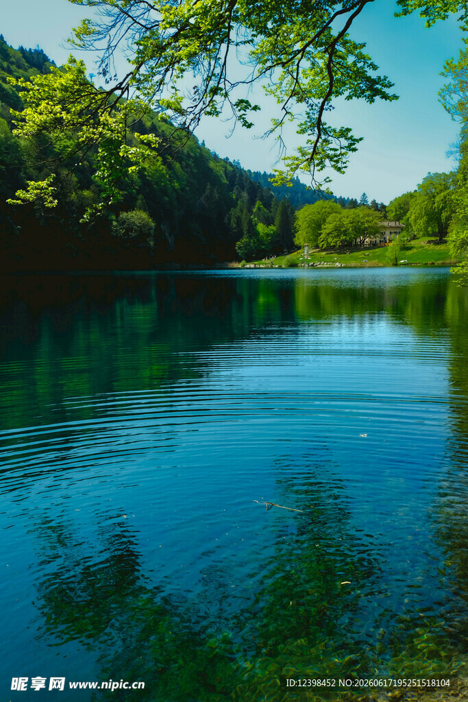 宁静湖畔绿意盎然的美景