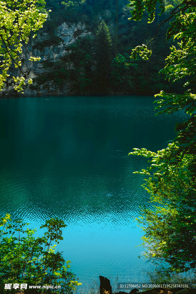 静谧湖畔绿意环绕的美景