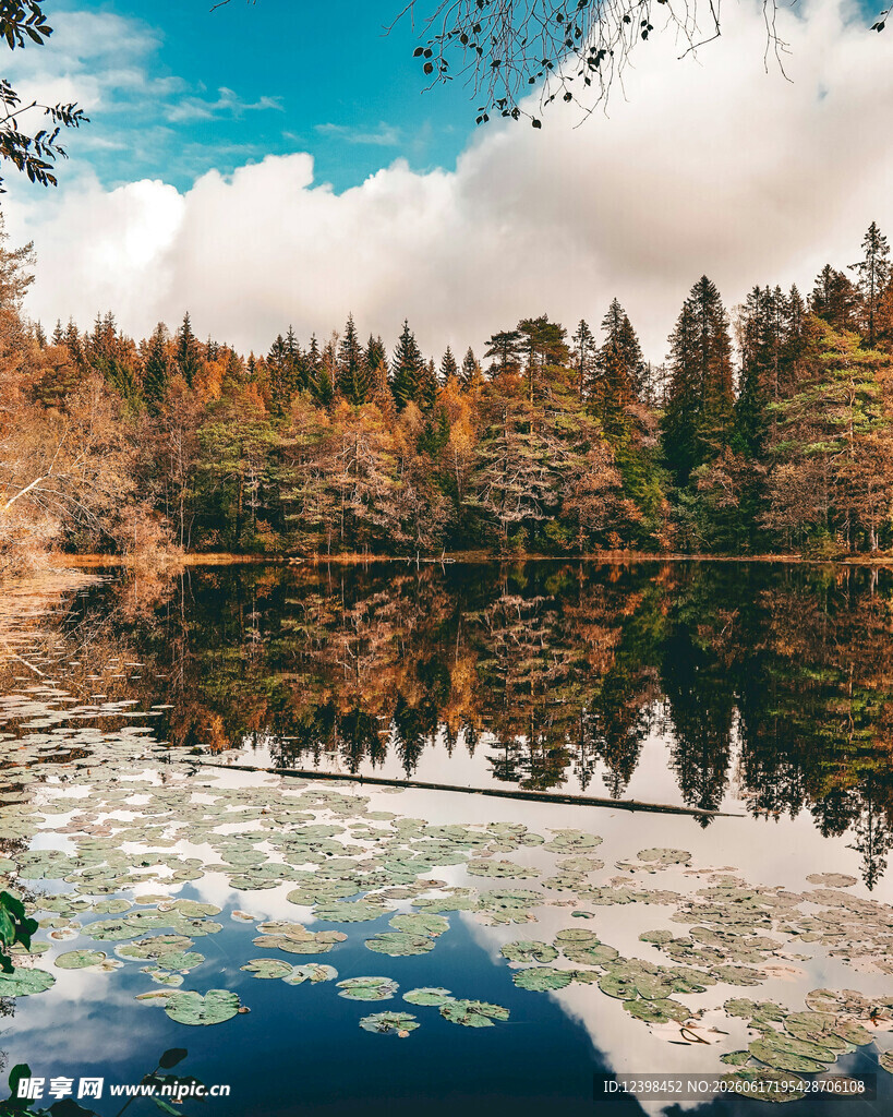 秋日静谧湖景