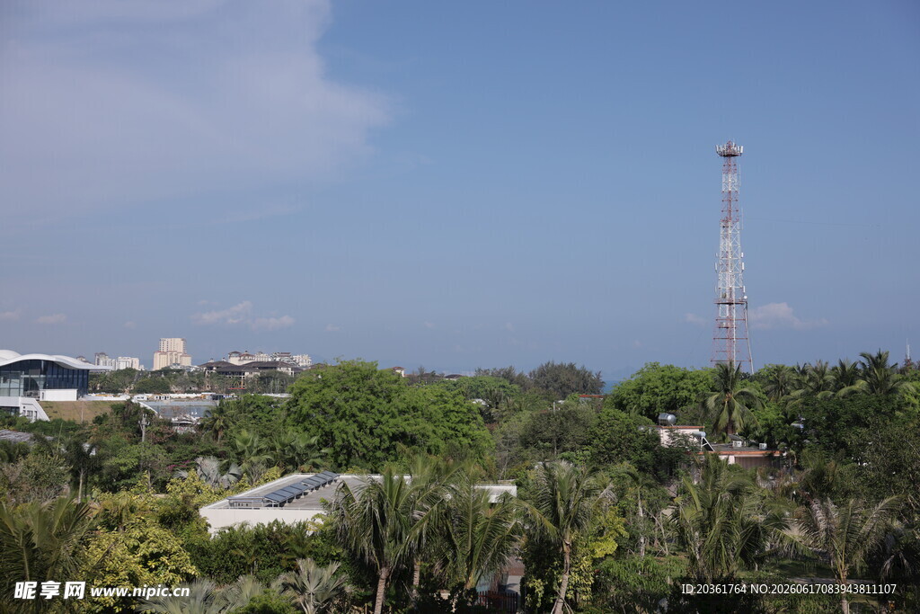 城市绿植与远处高塔景观