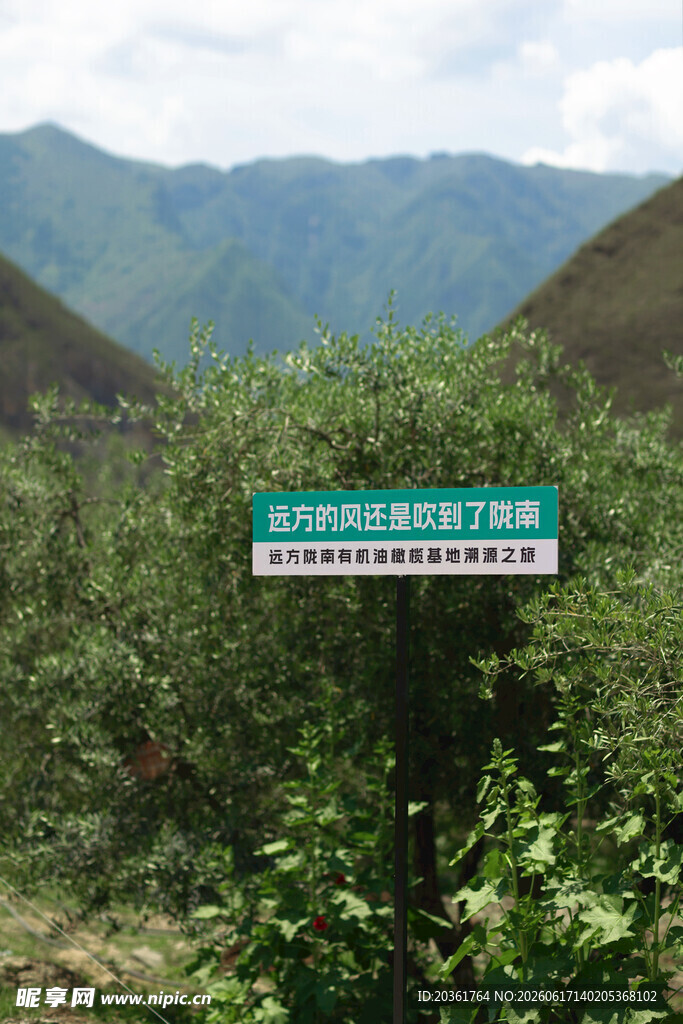 山间绿植中的交通标志牌