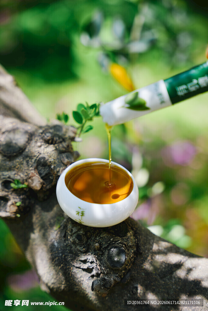 树枝上的茶与注水瞬间