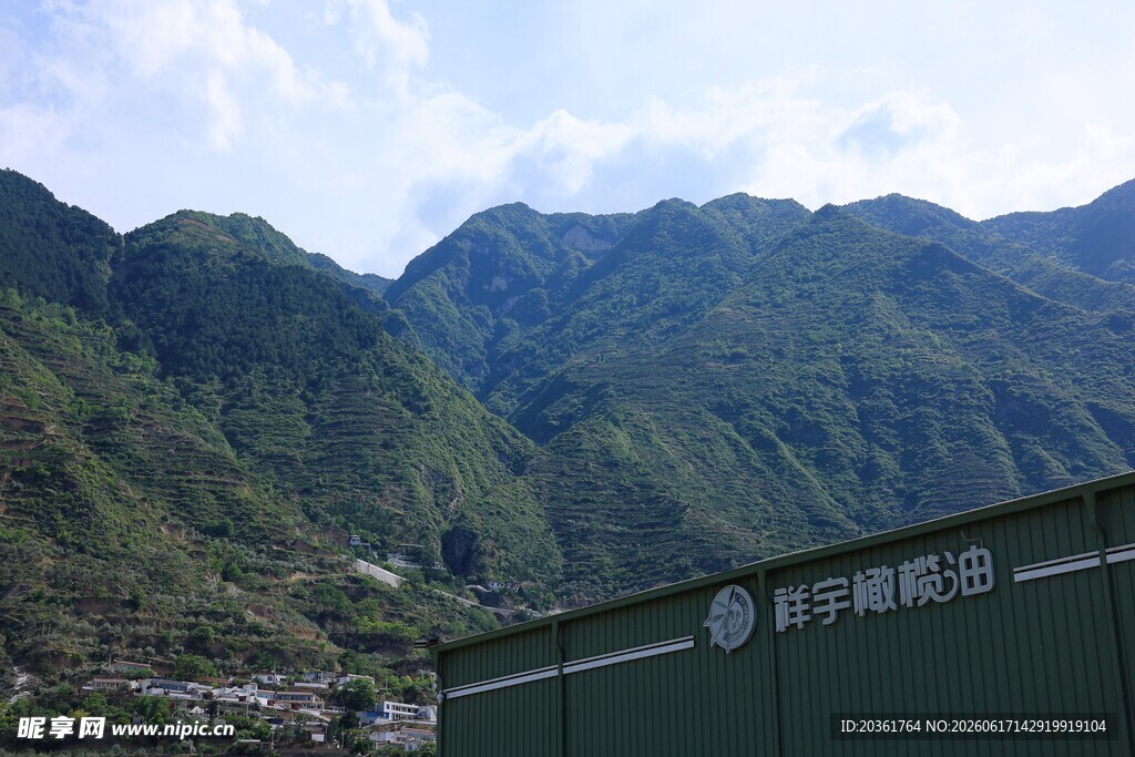 青山下的绿色箱体