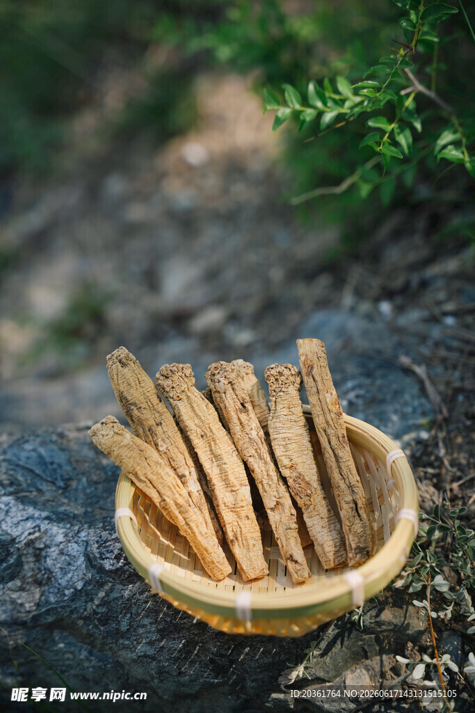 木碗中的干制菌类食材