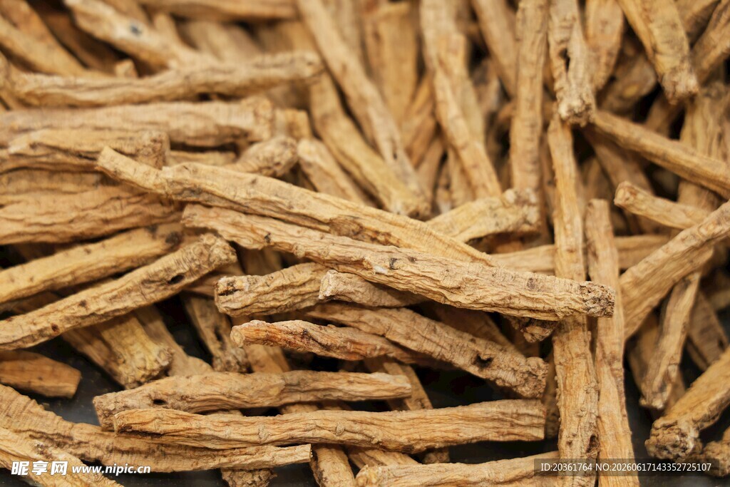 干人参根茎特写