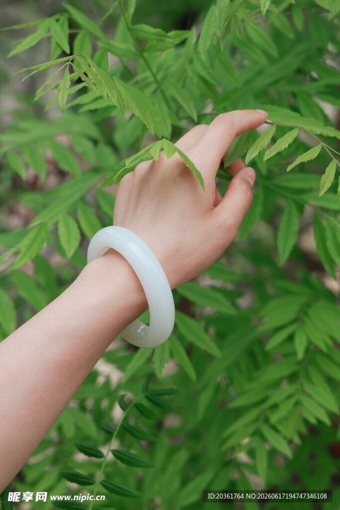 玉镯美手轻触翠绿枝叶