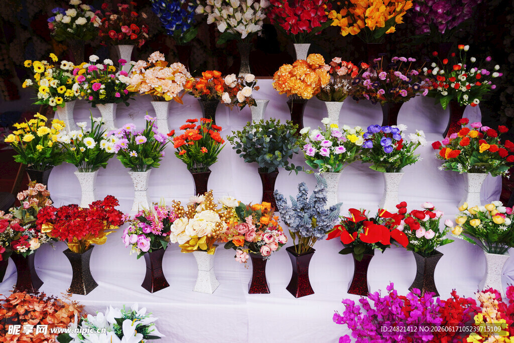 多彩花卉展示