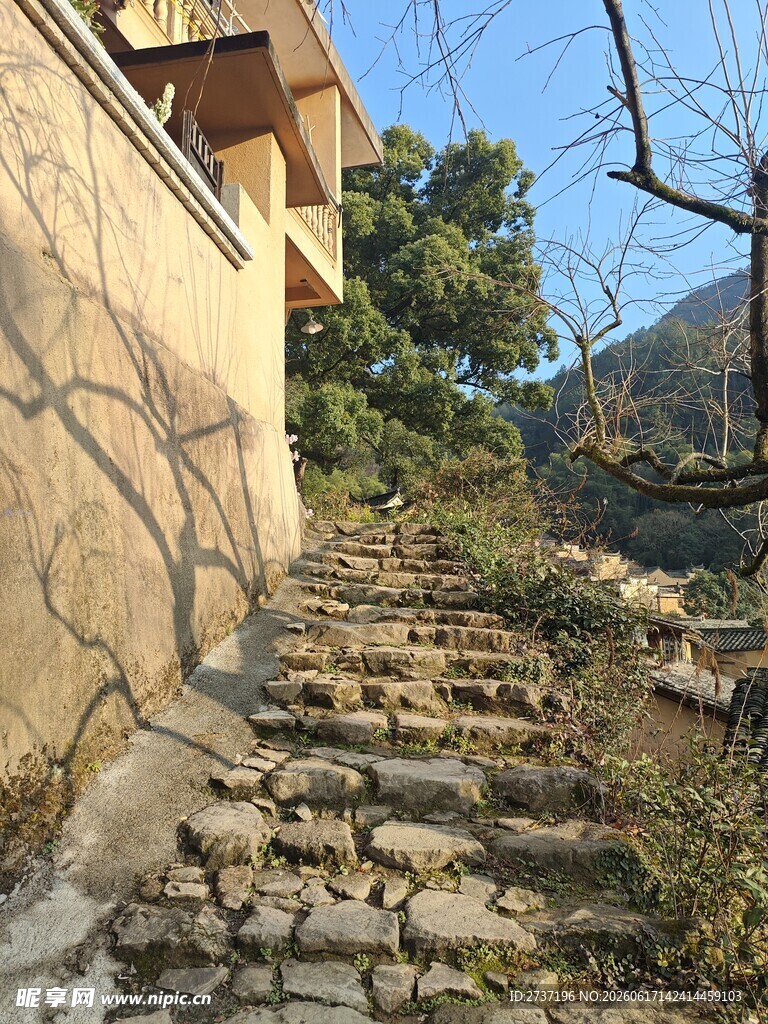 杨家堂