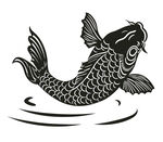 矢量鲤鱼戏水