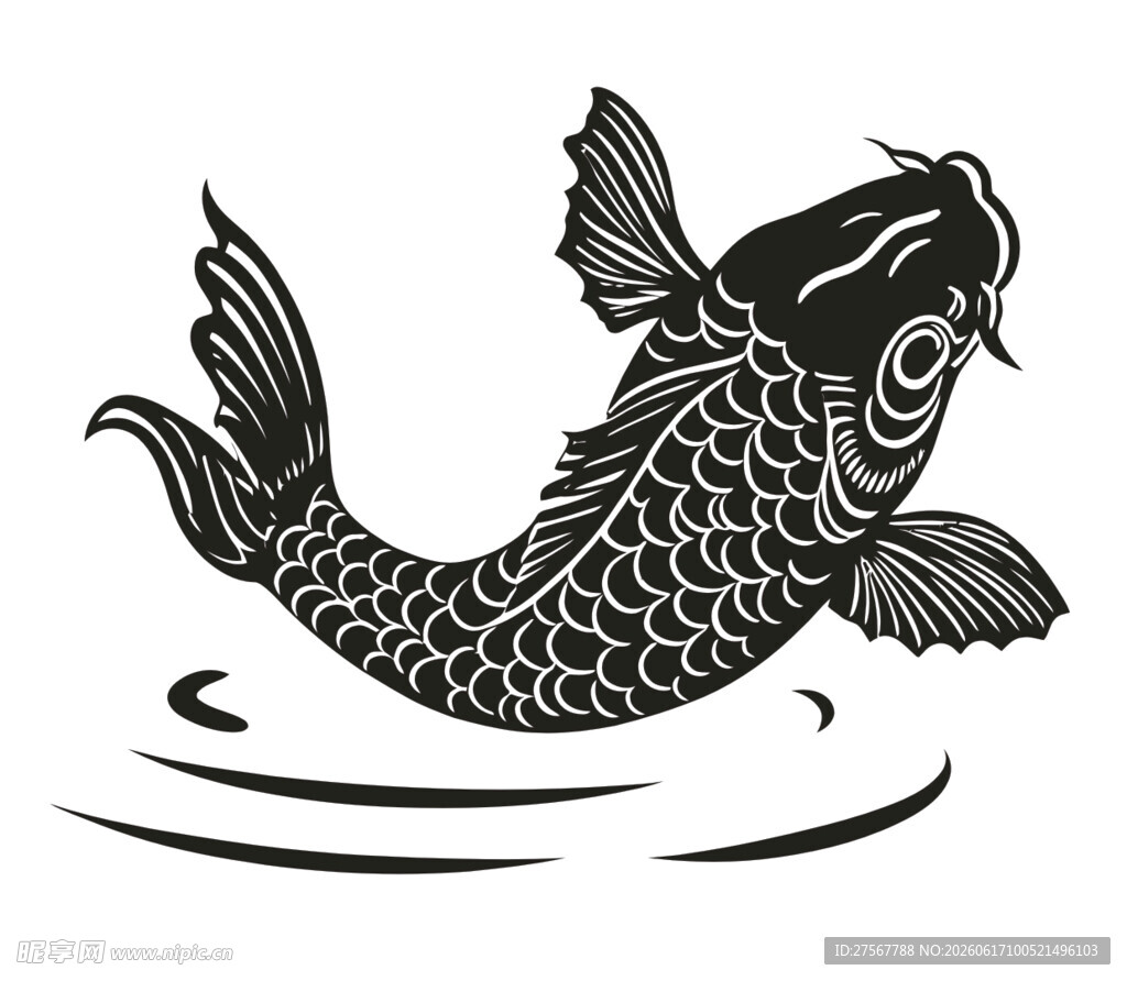 矢量鲤鱼戏水