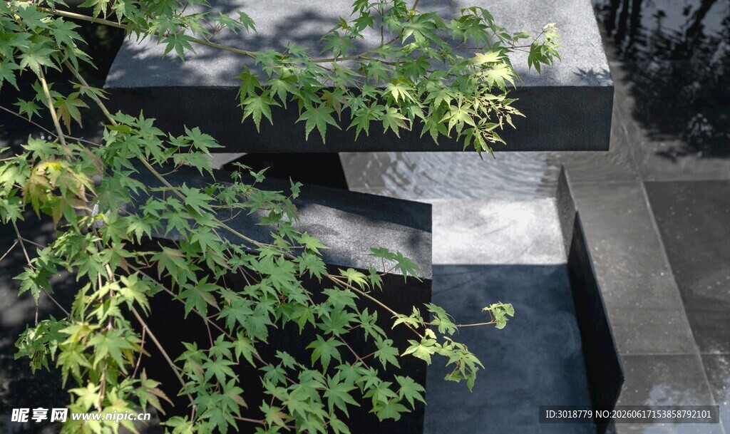 绿植点缀的古朴石阶
