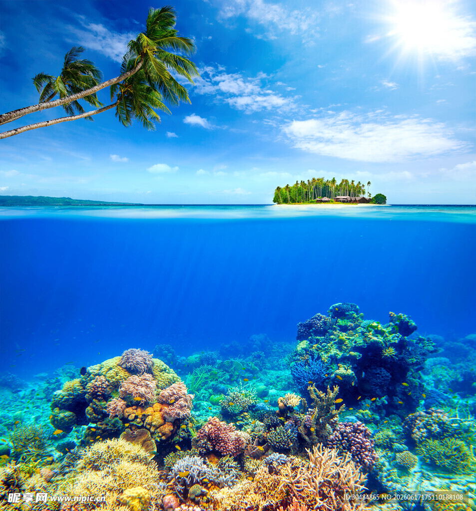 梦幻海岛海底珊瑚美景