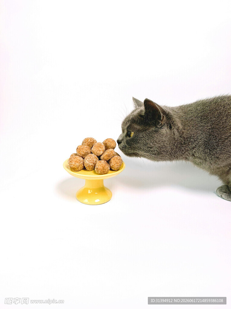 猫咪嗅闻盘中食物