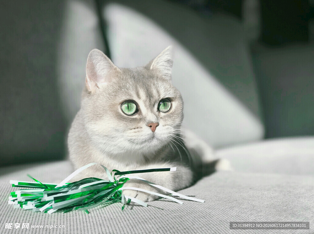 可爱猫咪玩绿白流苏玩具