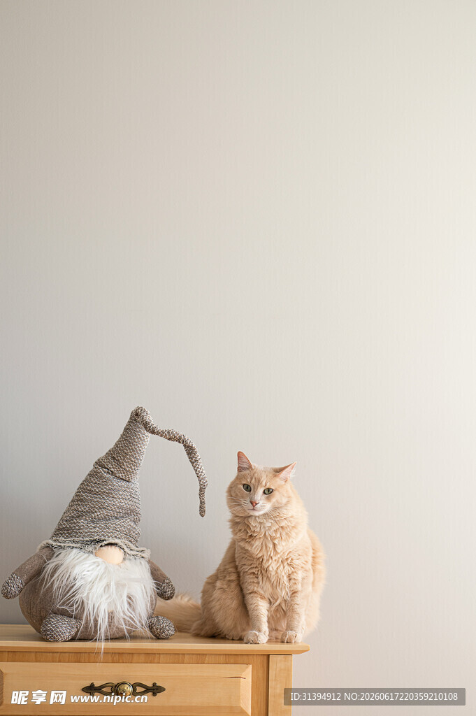 两只猫咪并排坐木台上