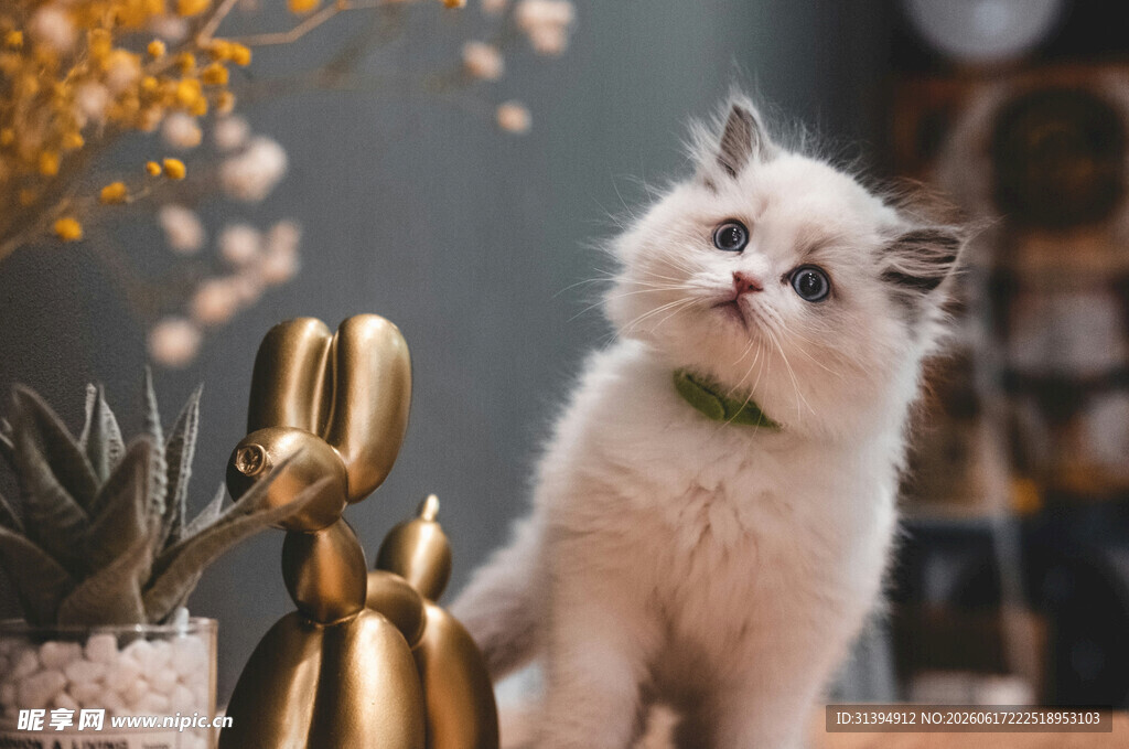 可爱猫咪配精致摆件