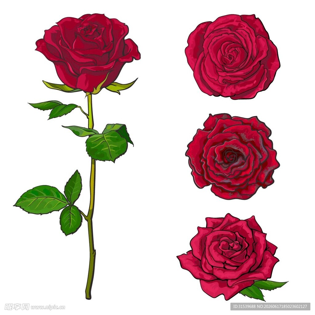 玫瑰花矢量图AI