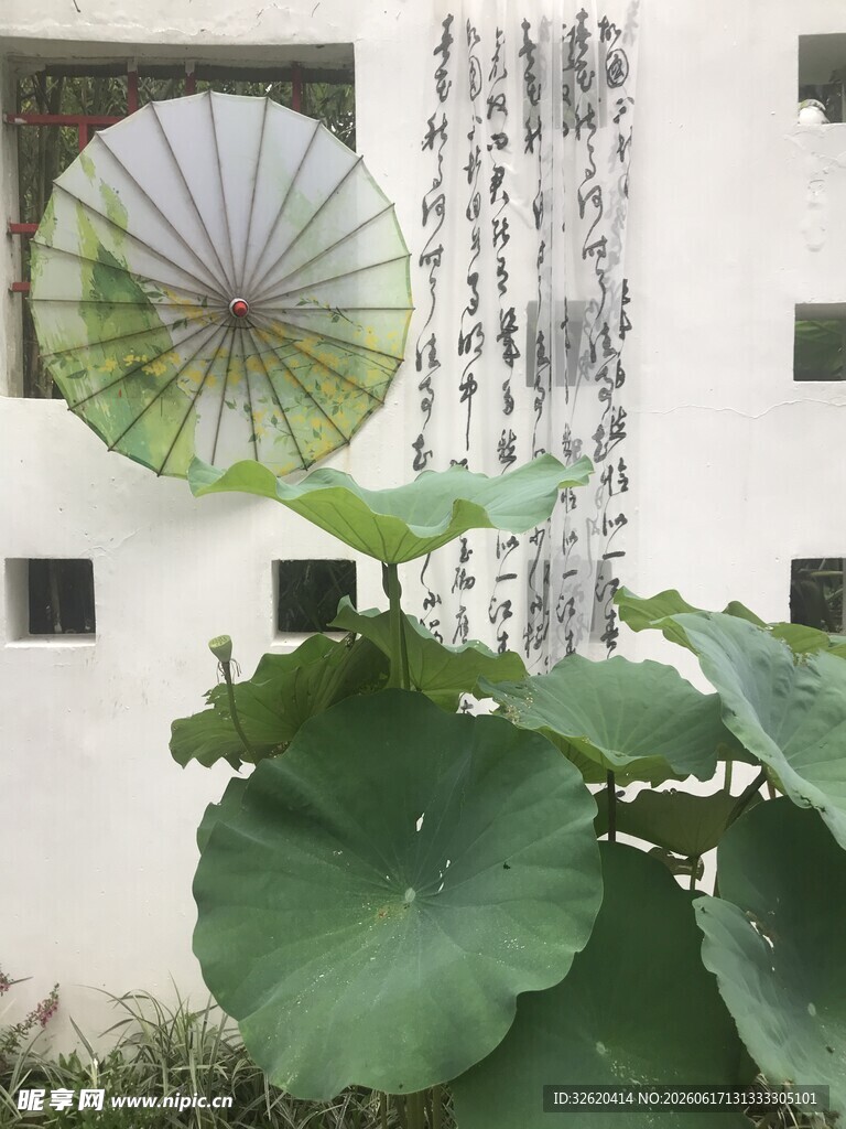 中式庭院中的油纸伞与荷叶