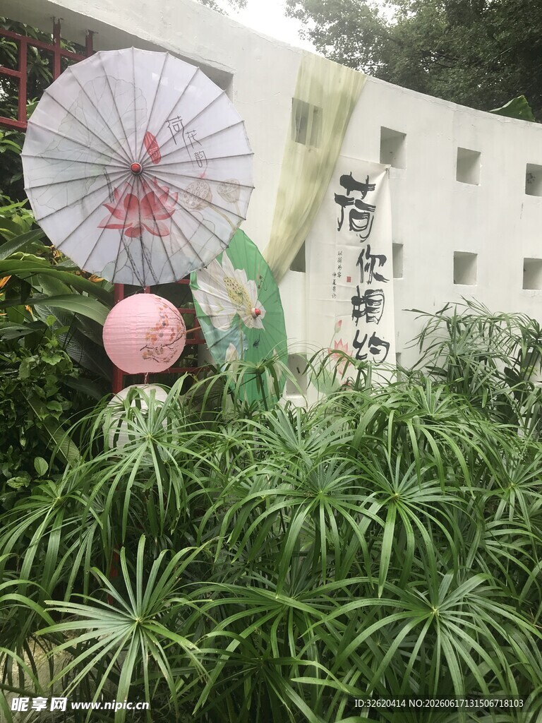绿植景观