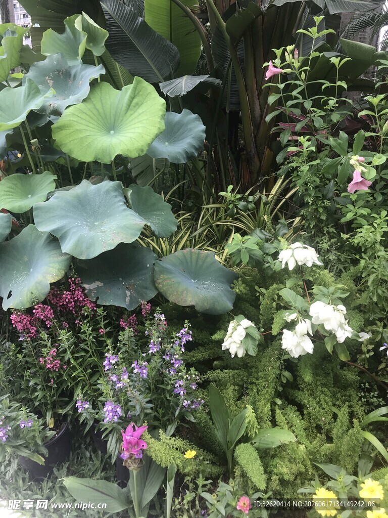 多彩花卉绿植景观
