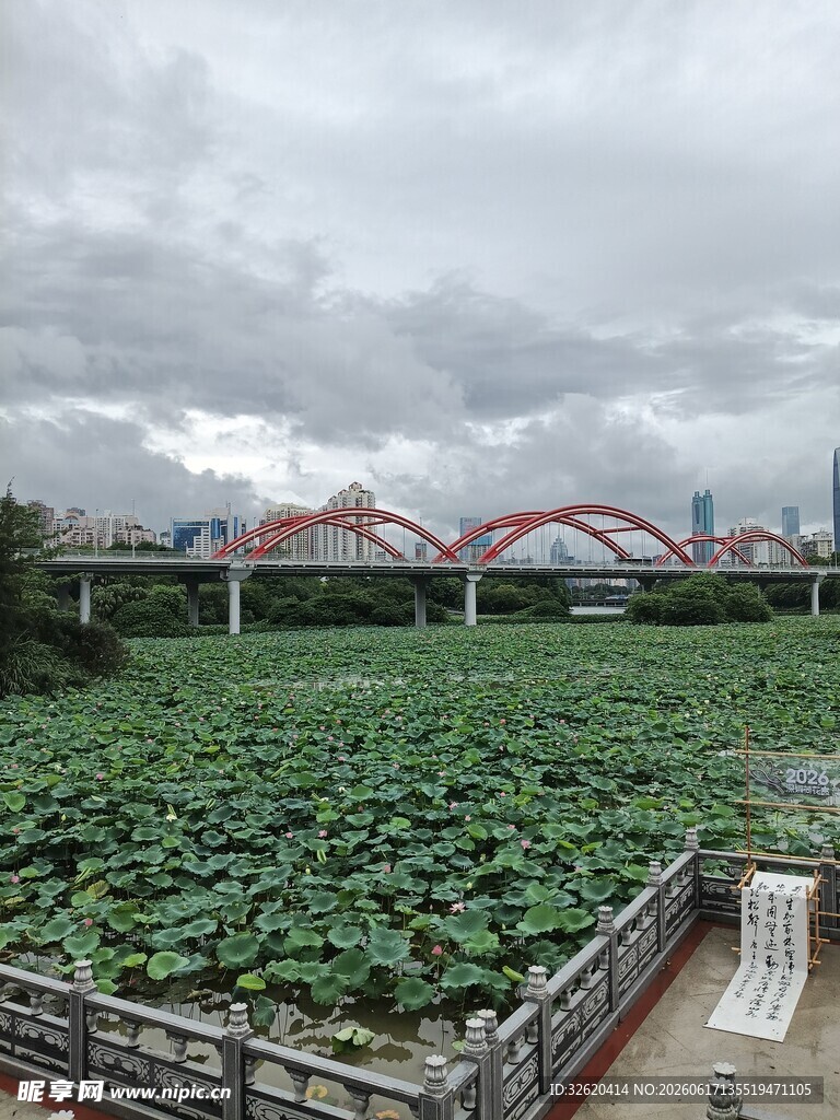 荷塘边的拱形桥美景