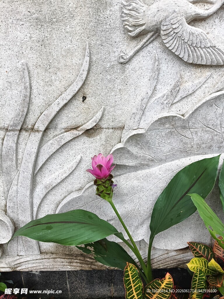 石雕旁绽放的艳丽小花