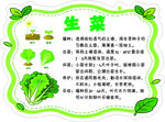 生菜牌异形牌