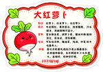 大红萝卜蔬菜牌