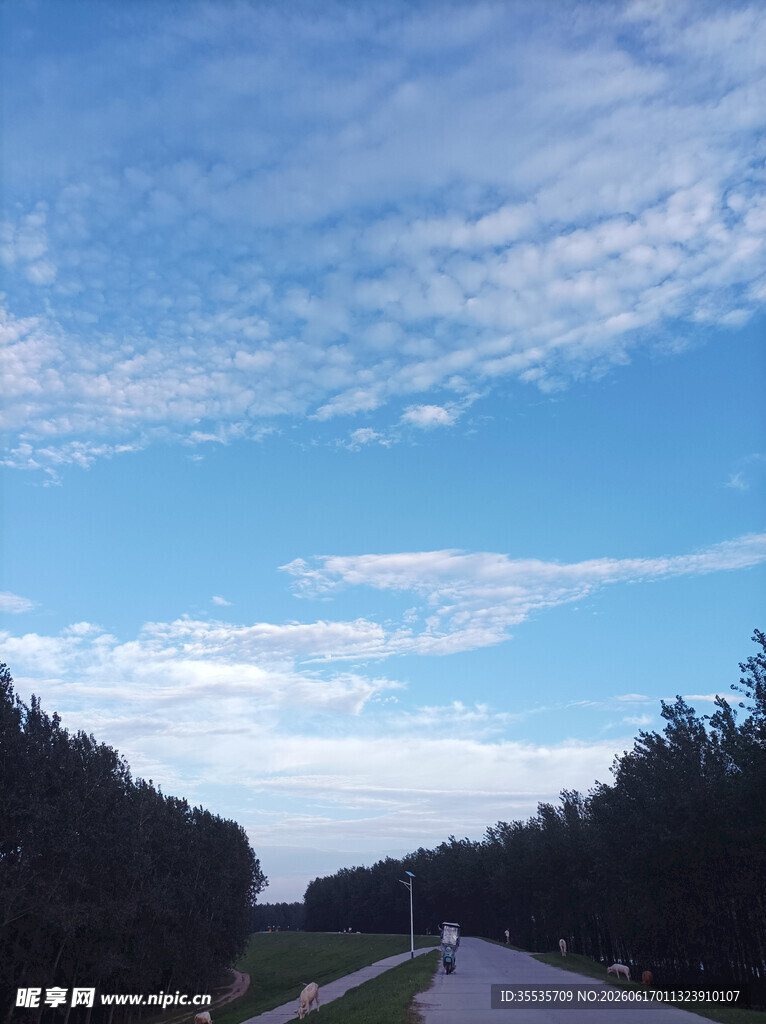 蓝天白云下的林间公路