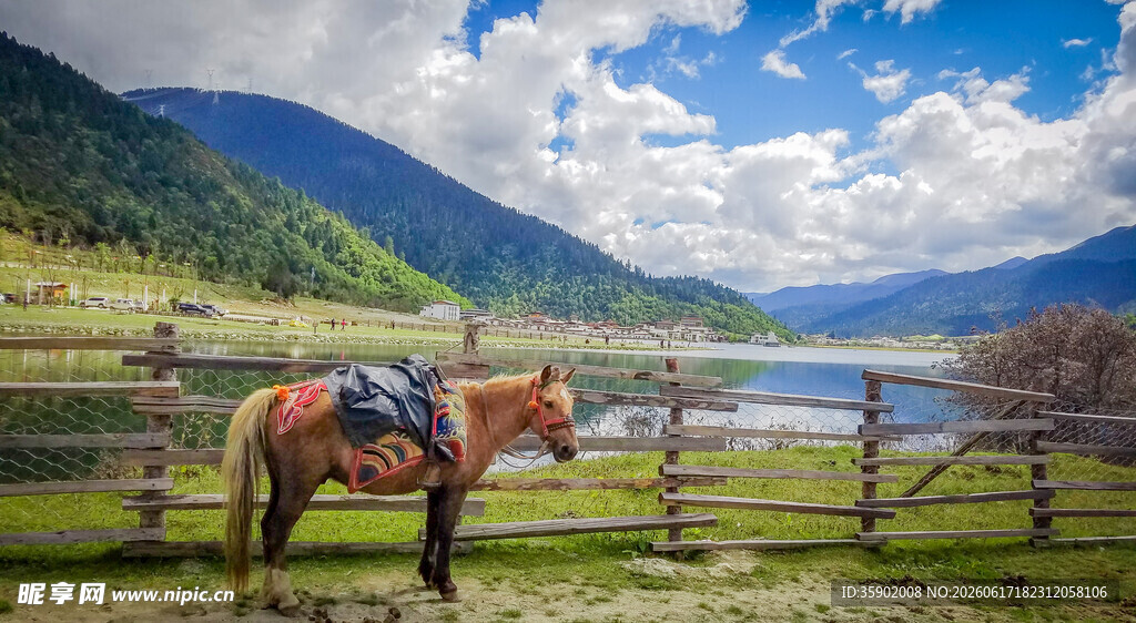 草原山水间的骏马