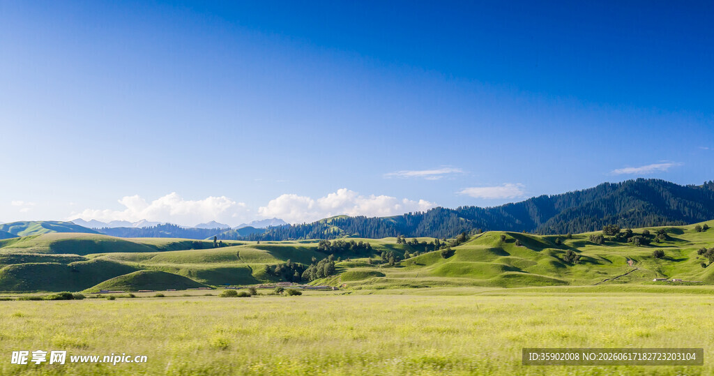 广袤草原与远处山峦美景