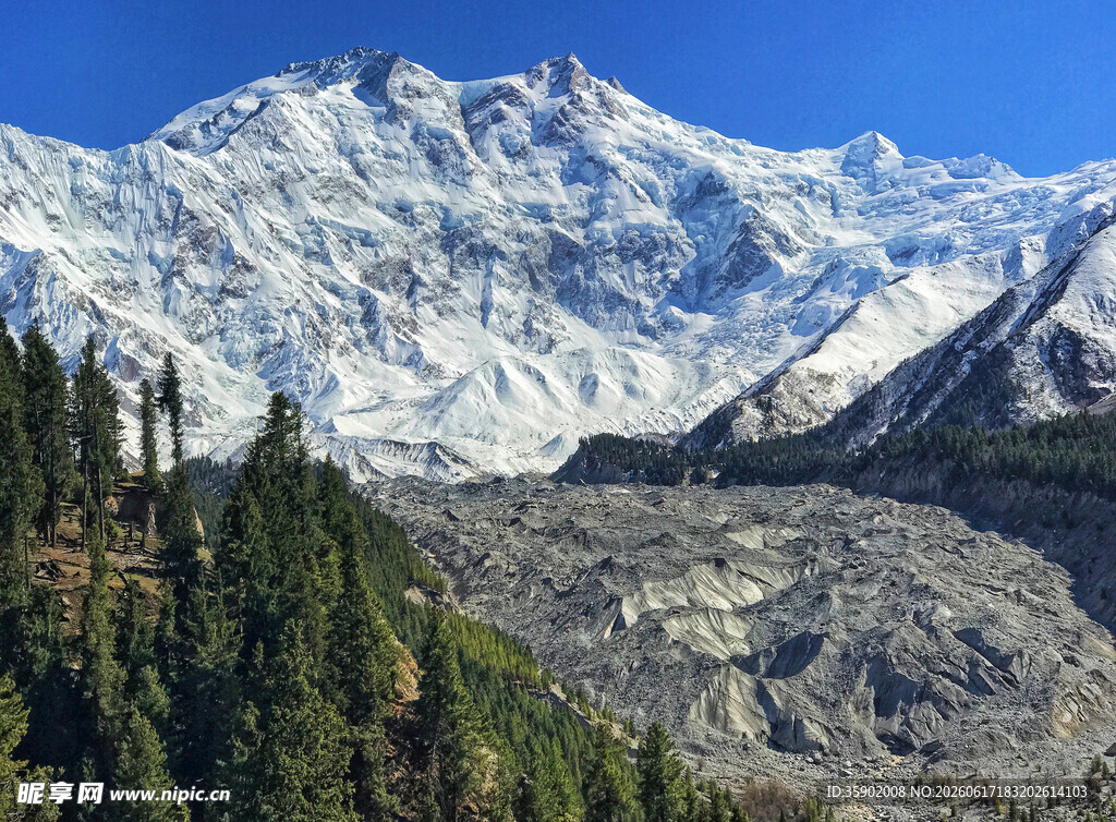 壮丽雪山与葱郁森林景观
