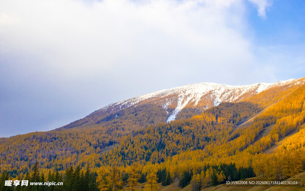 秋日雪山下的斑斓山林