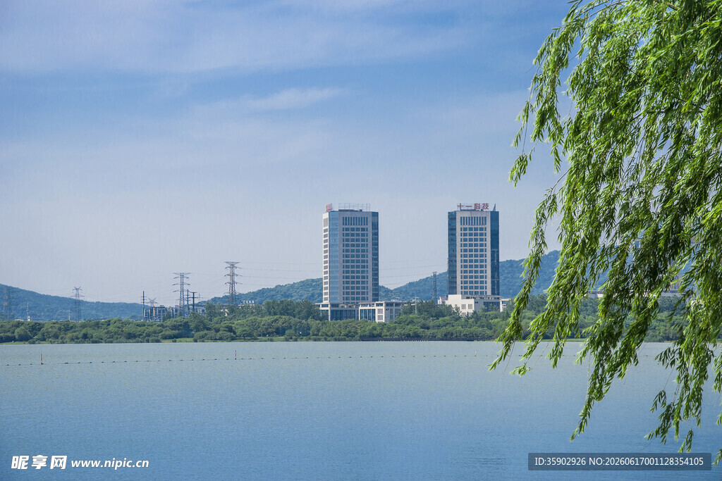 湖畔垂柳映高楼美景