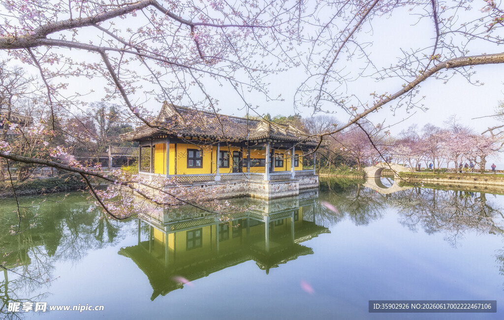 樱花与古建筑
