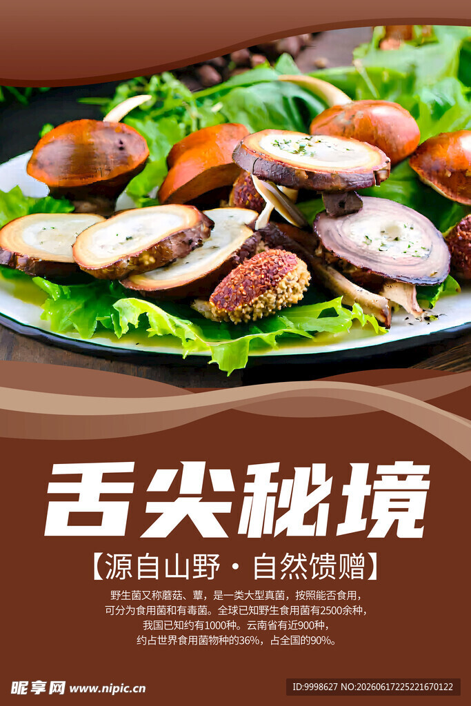 野生菌