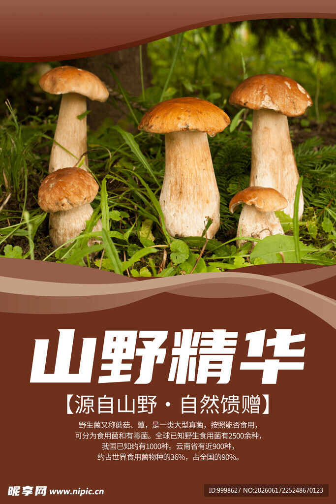 野生菌